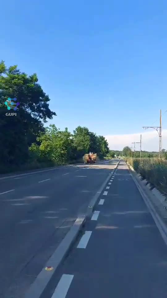 Video de @FLRica06