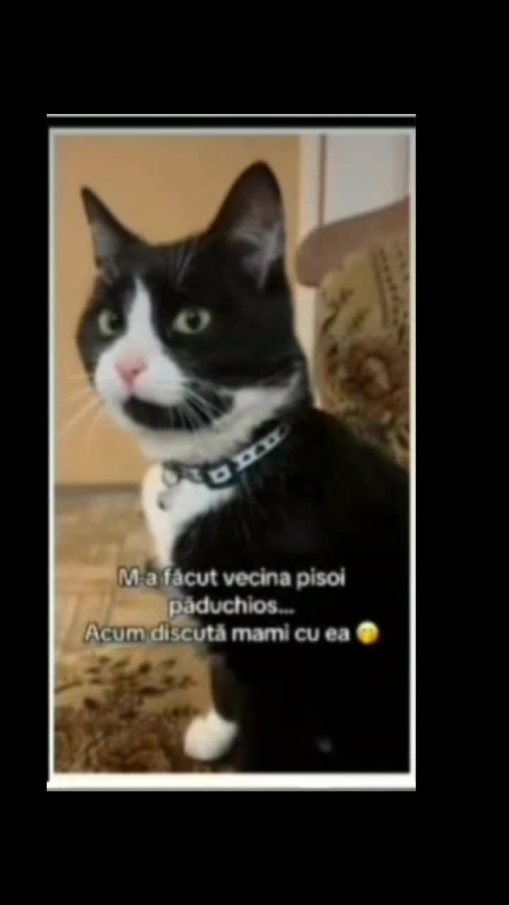 #🤣🤣🤣    #🥰🥰🥰🥰❤❤❤