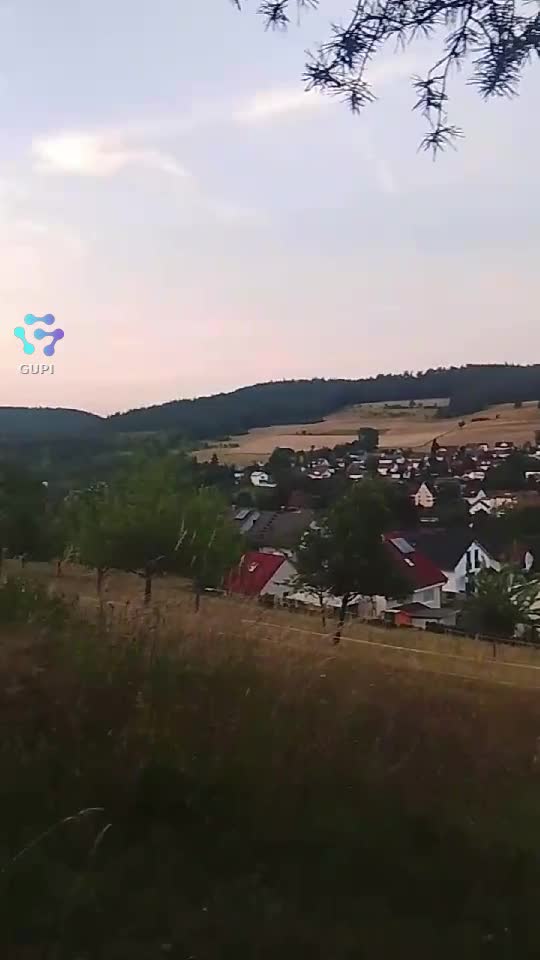 Video de @gupiuser155431