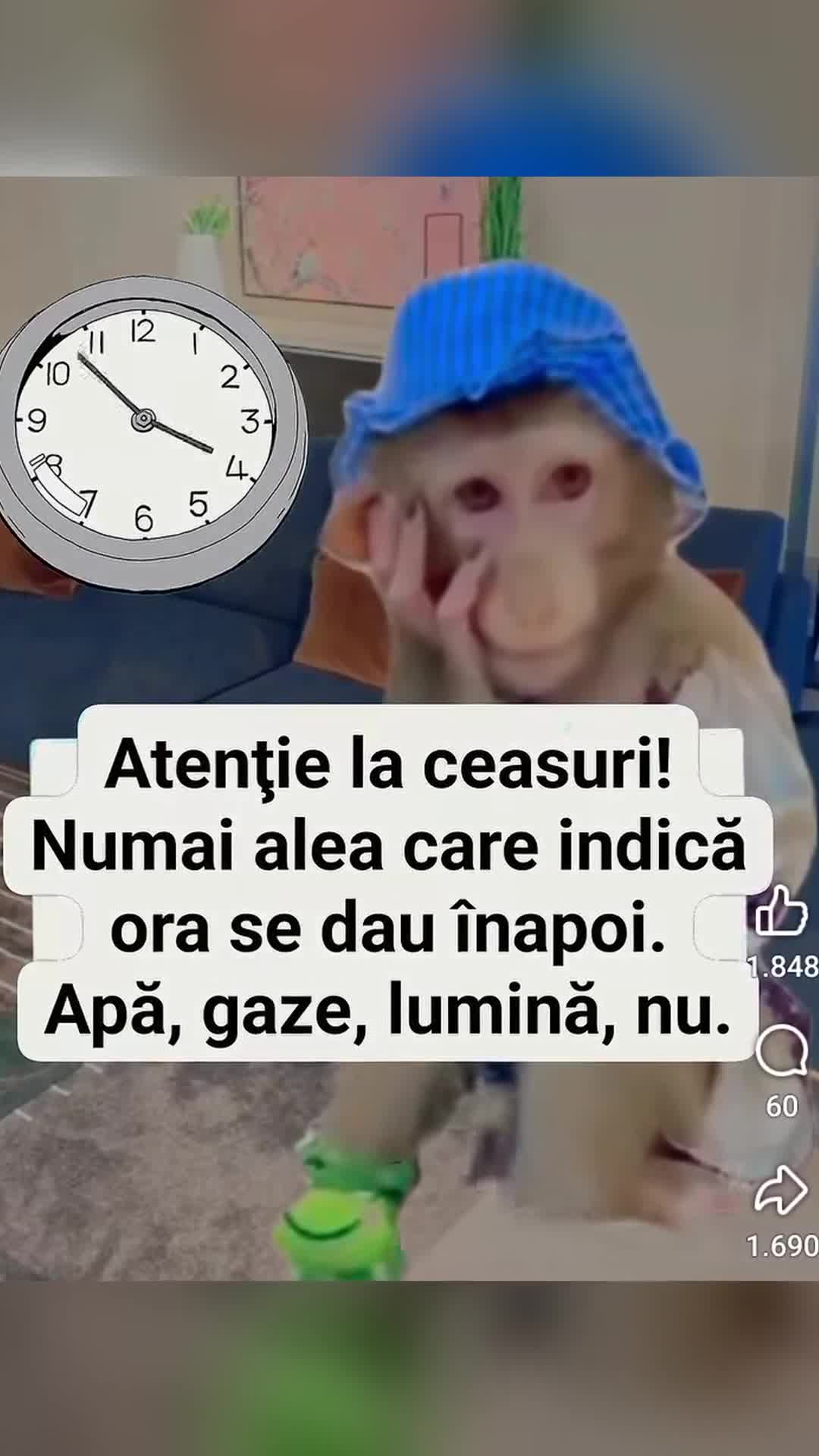 Video de @antonela54