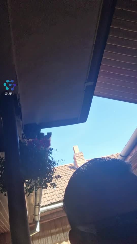 Video de @gupiuser323228