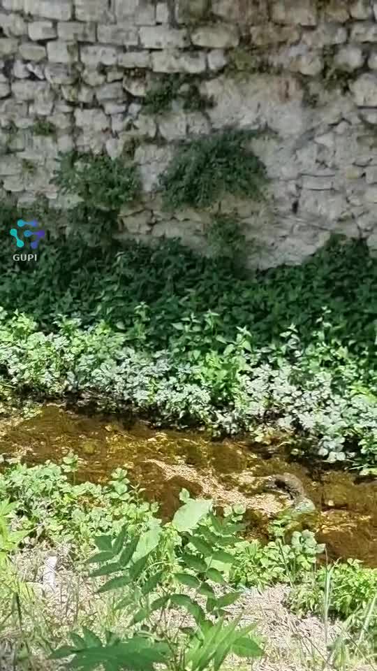 Video de @gupiuser578761