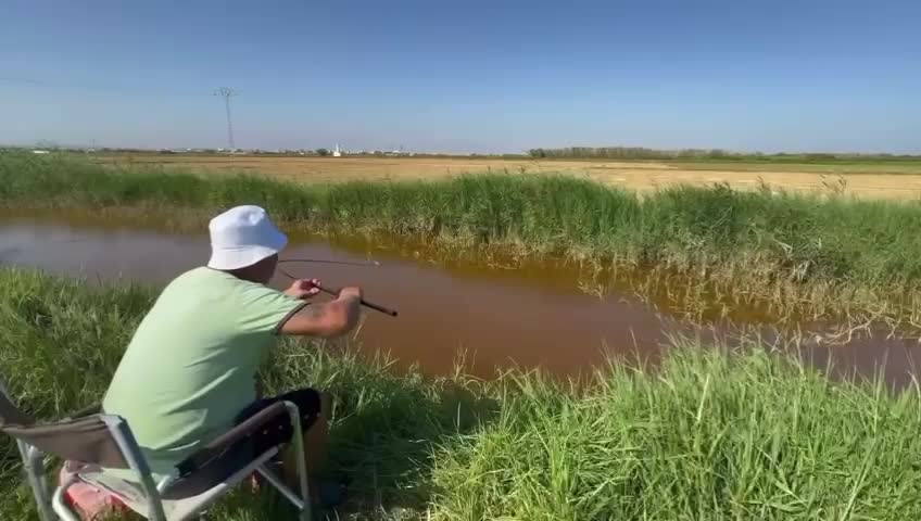 #fishing