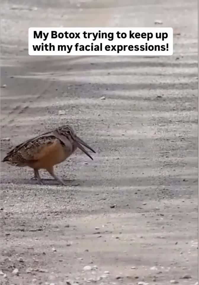 😜