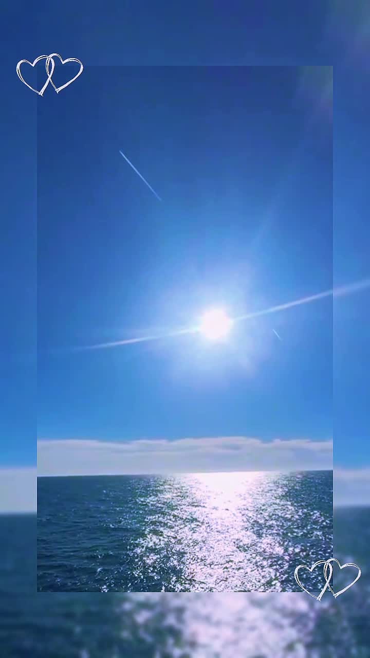 # 🦋🌊🚢
