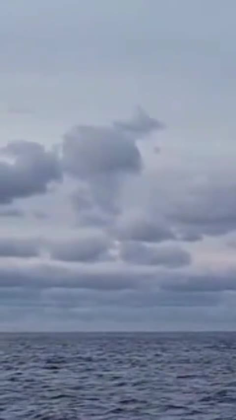 # 🦋🌊🚢