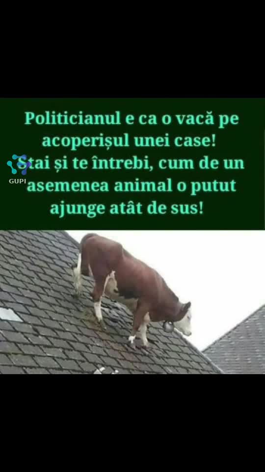 politicianul...😁😁