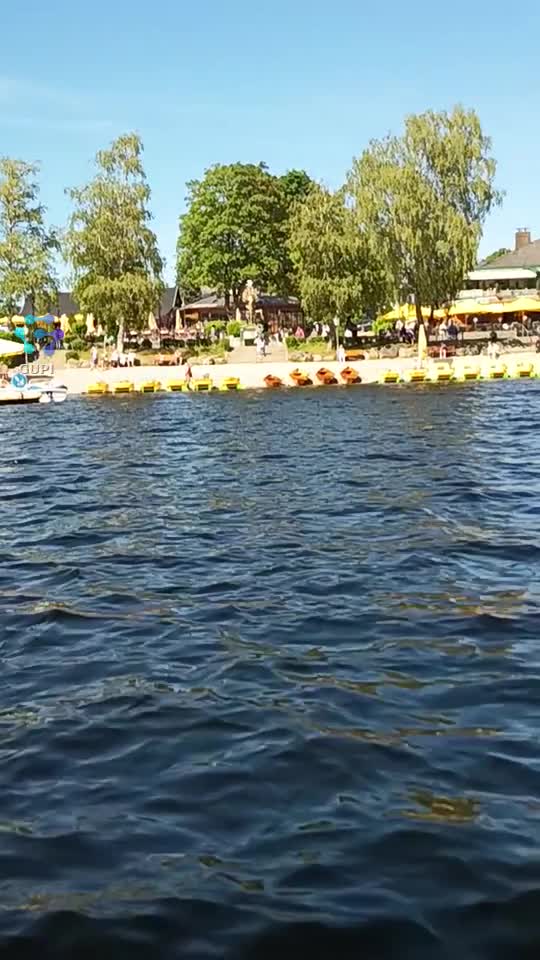 Video de @gupiuser241902