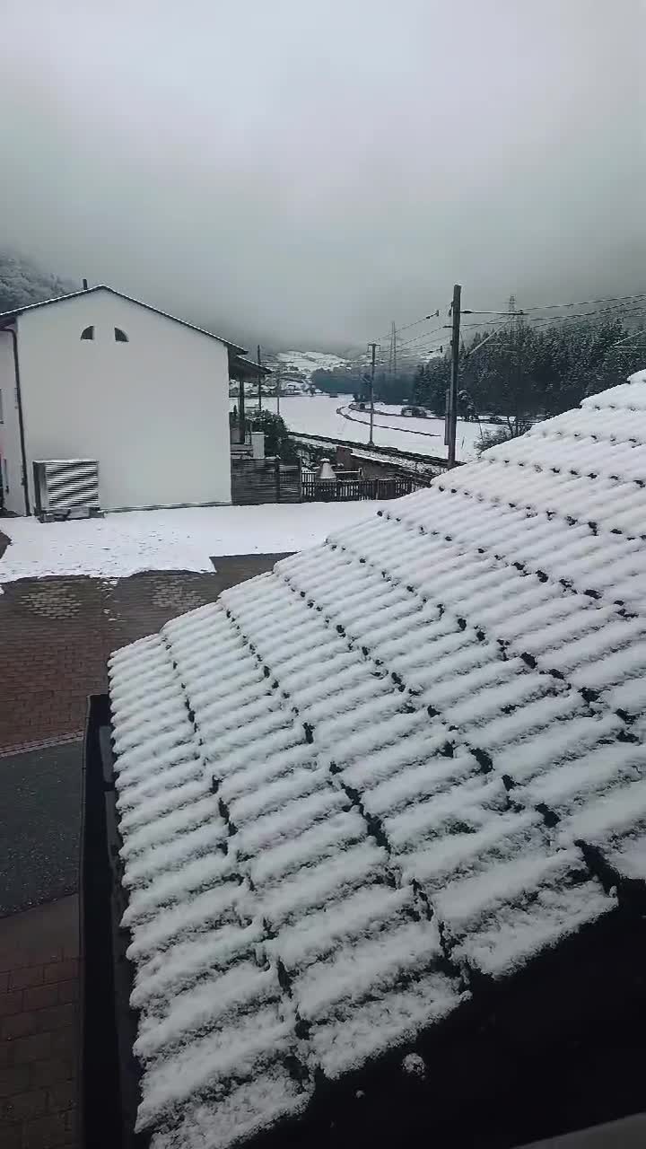 switzerland MARTIE 2025