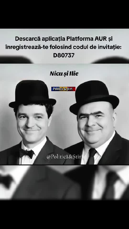 Nicu și Ilie