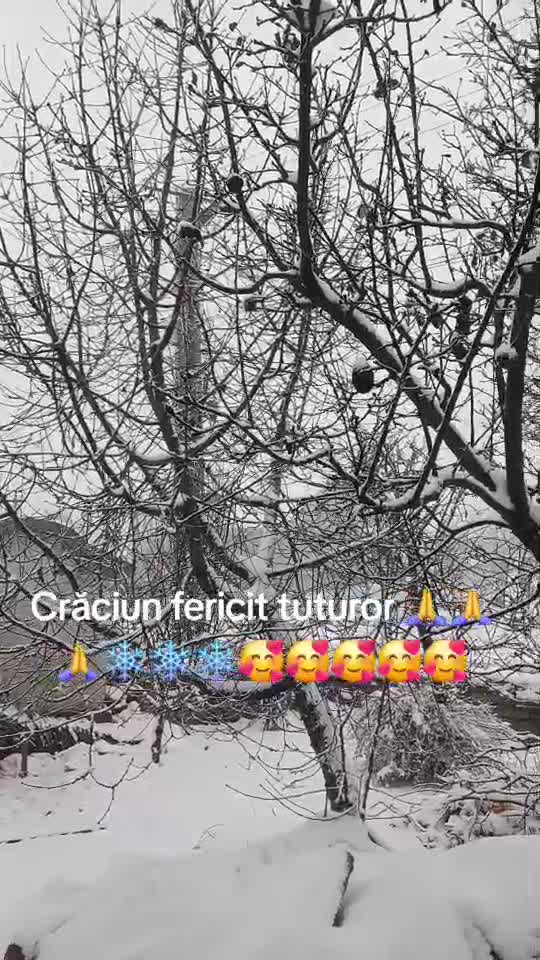 Crăciun fericit tuturor 🙏🙏🙏🥰🥰🥰🥰🥰🥰❄️❄️❄️❄️❄️❄️❄️❄️
