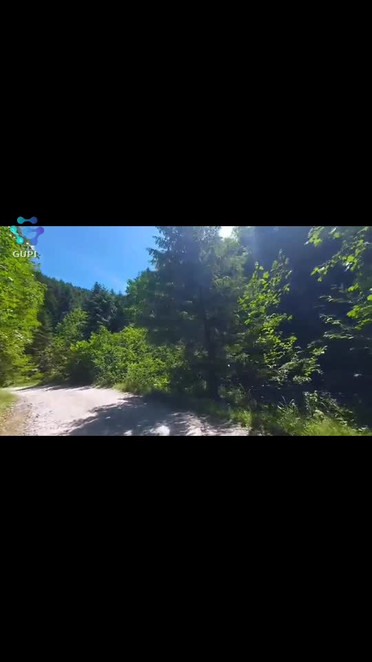 Video de @FLRica06