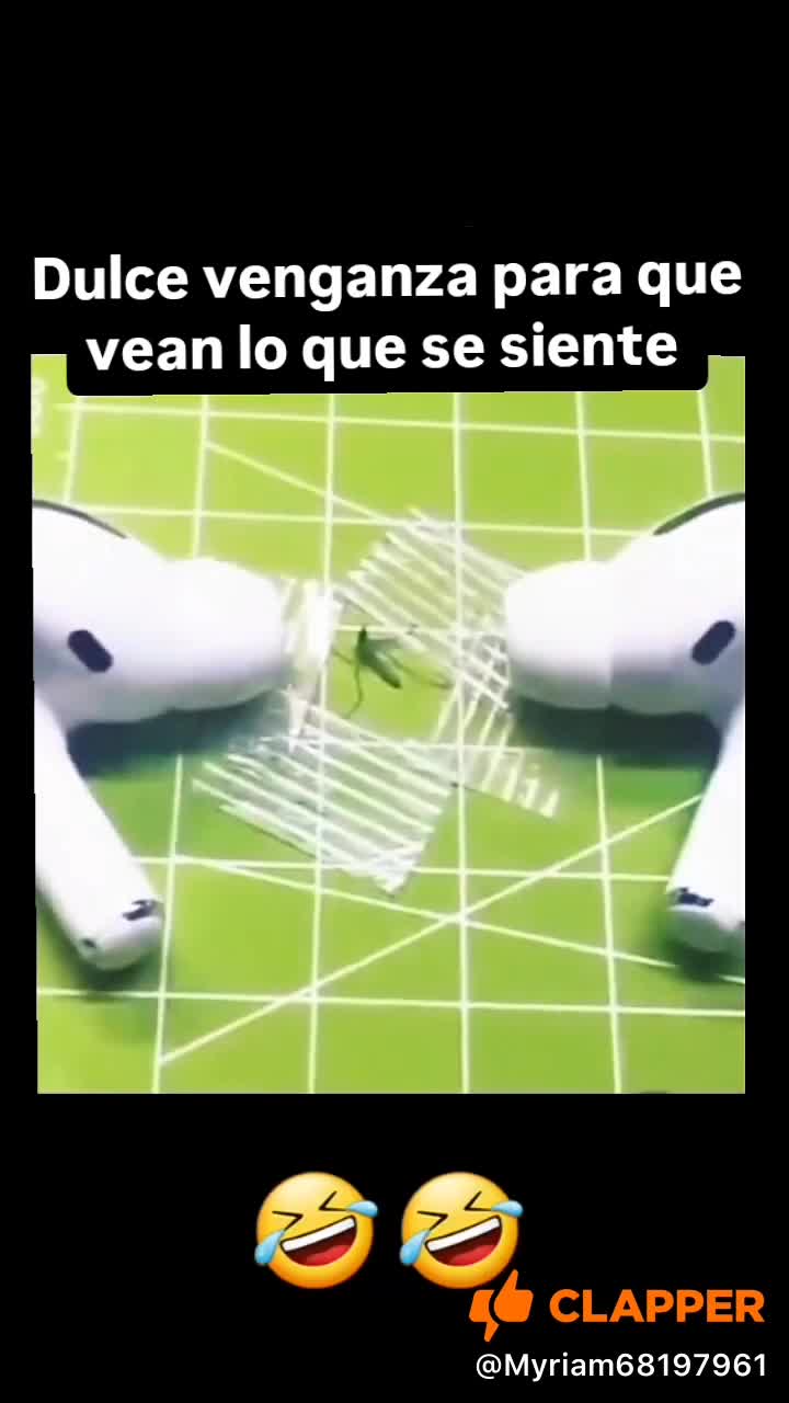 🦟🤣🤗