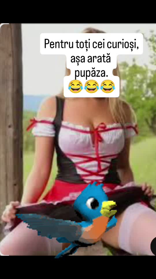 Pupăza pentru curioși.😂😇😂