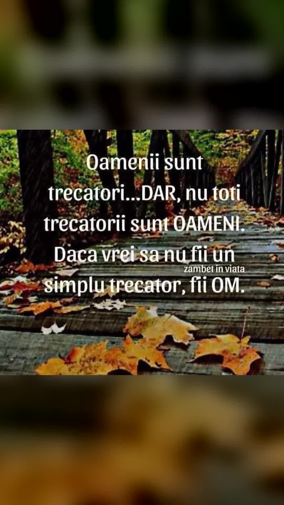 Video de @gupiuser899014