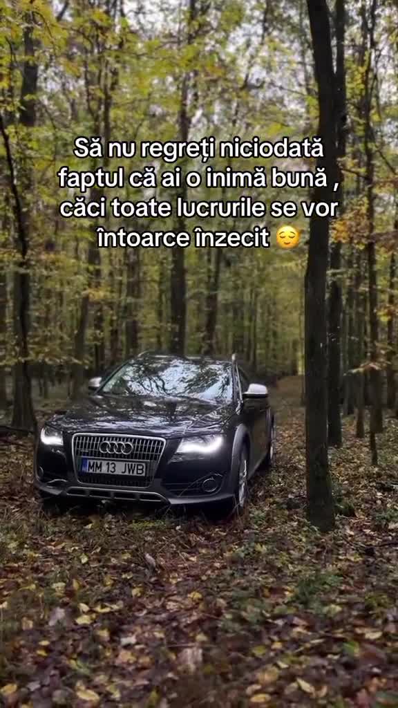 Original Sound - citate 
