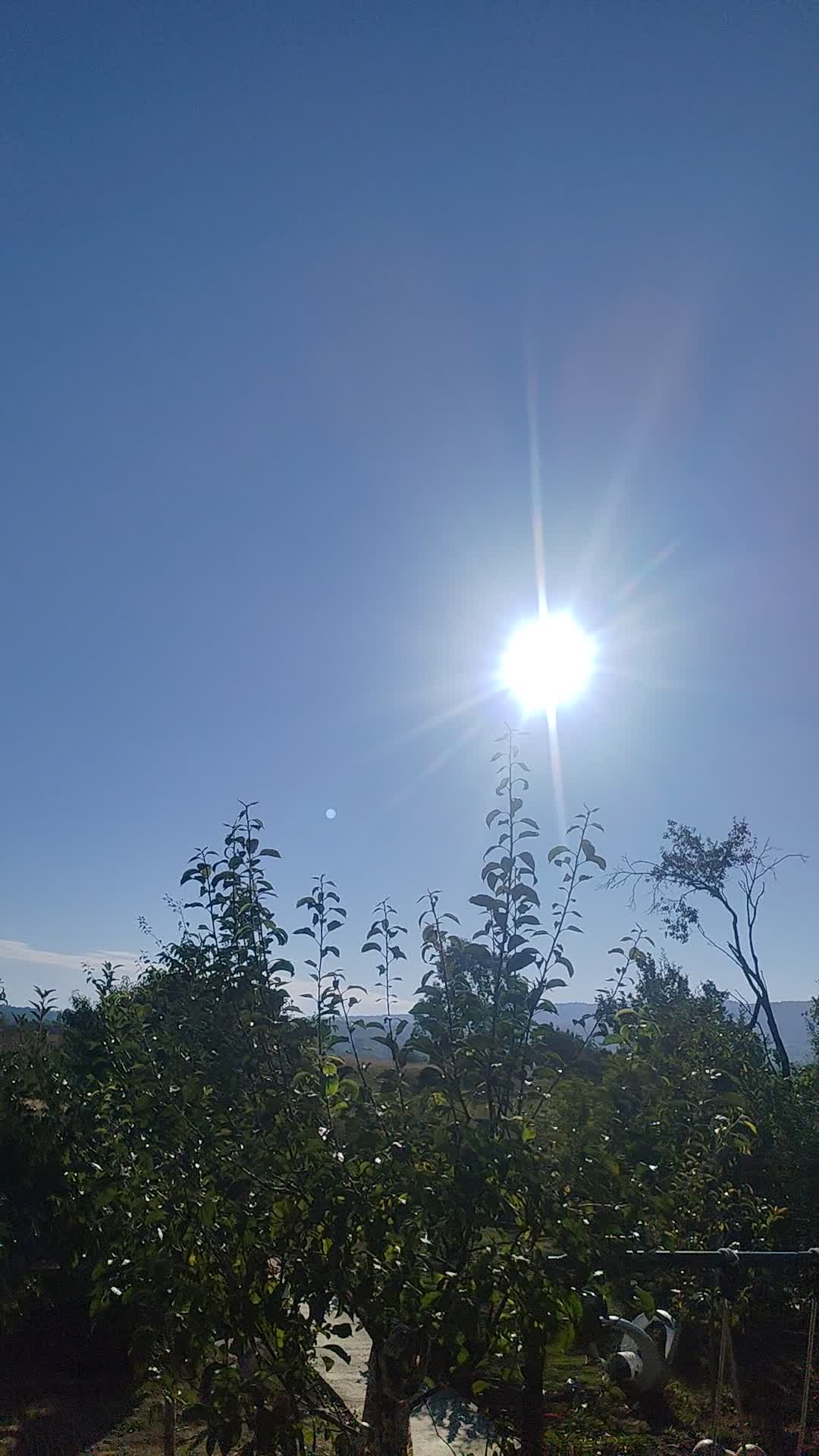 Bună dimineața din  Maramureș!! O zi frumoasă azi 15 Septembrie 2026!!