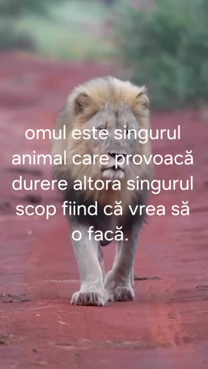 trist dar adevărat