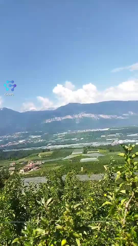 Video de @gupiuser279305
