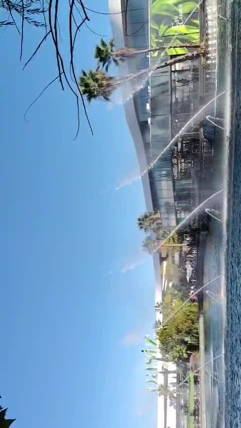 Video de @gupiuser360071