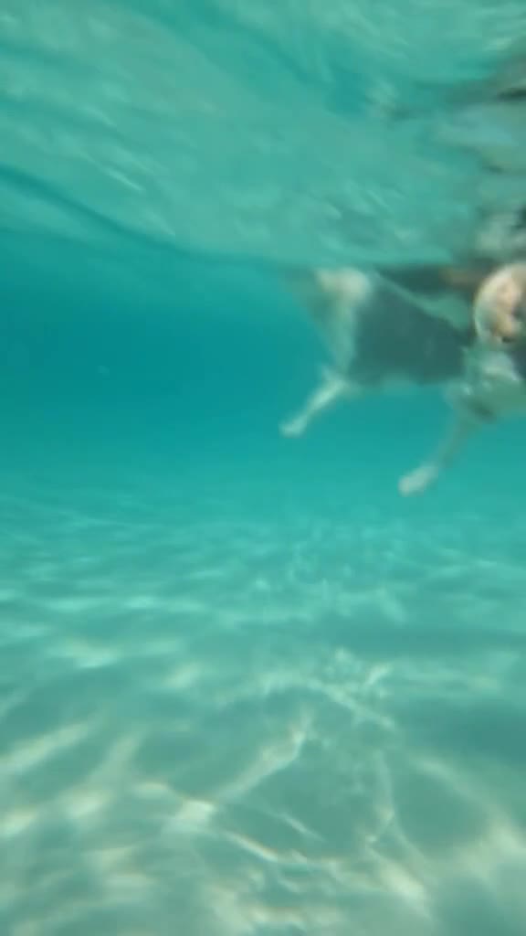 Salento (IT ) 💙