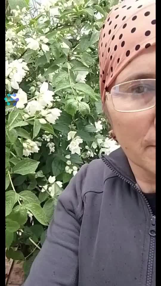Video de @gupiuser336403