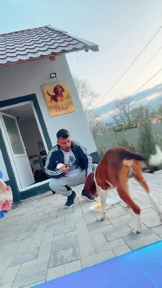 Cea mai noua melodie dezvoltată