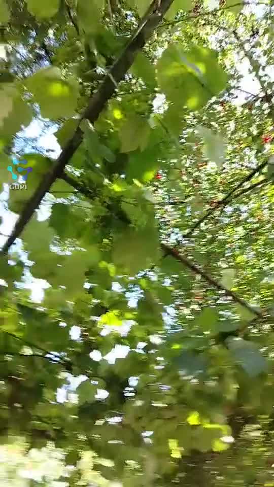 Video de @gupiuser153804