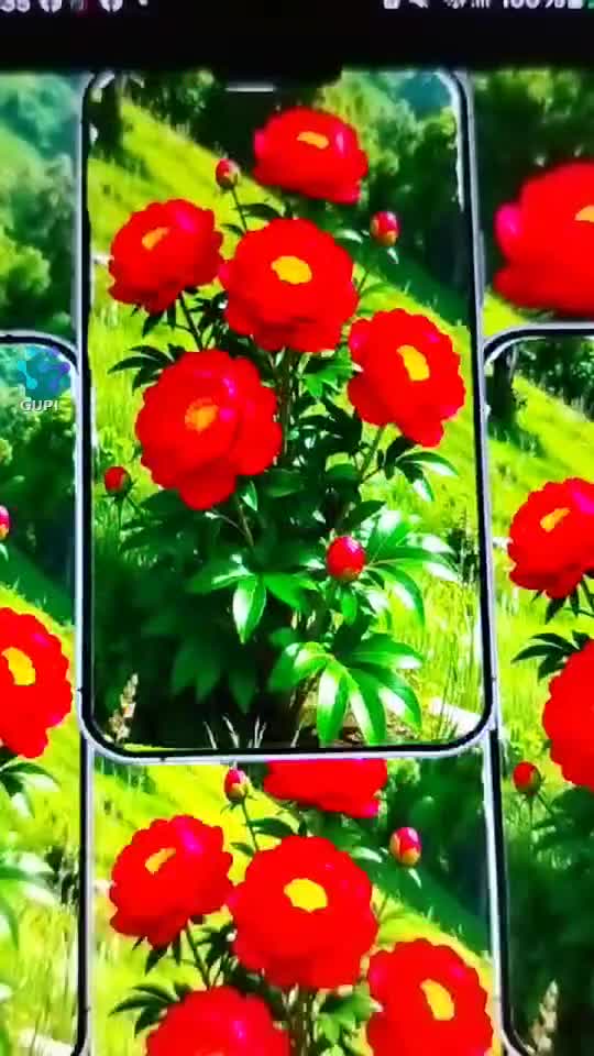 Video de @gupiuser153804