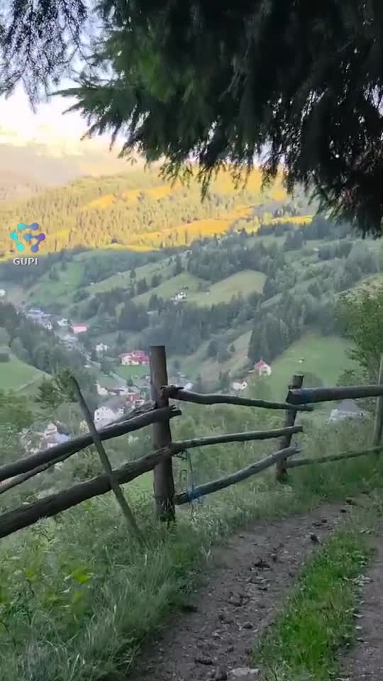Video de @gupiuser147071