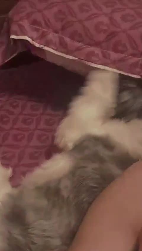 💕💕💕❤️❤️❤️
