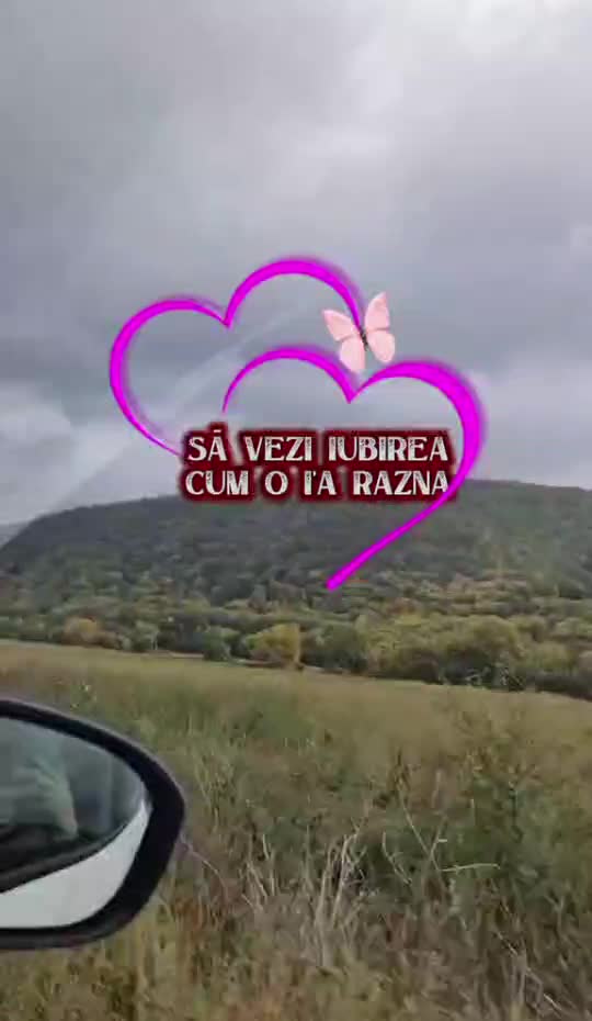 #🦋💙👩‍❤️‍💋‍👨