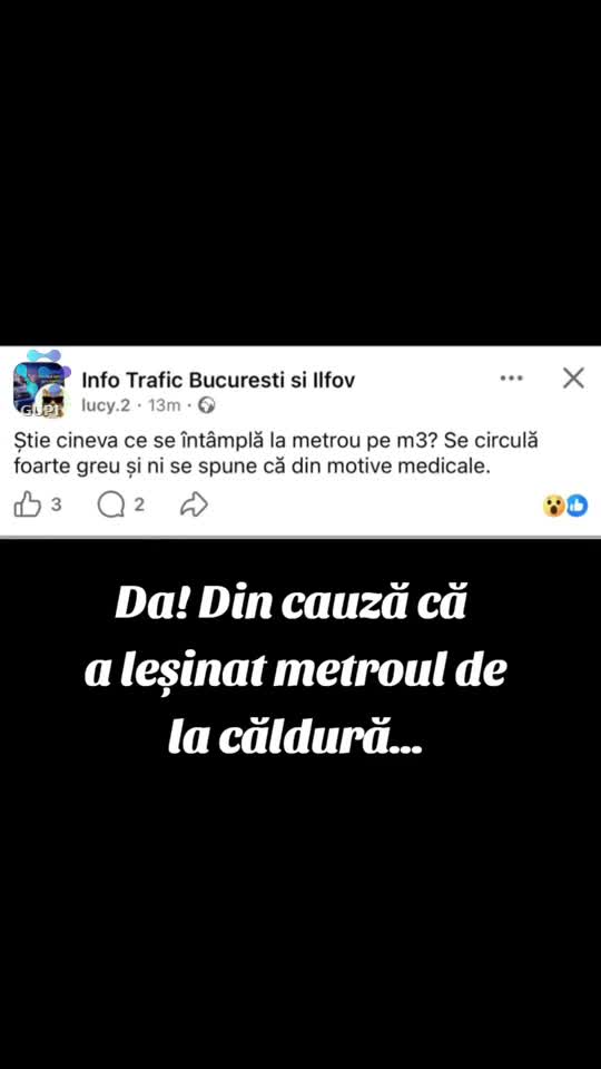 căldura este de vină...😂😂😂