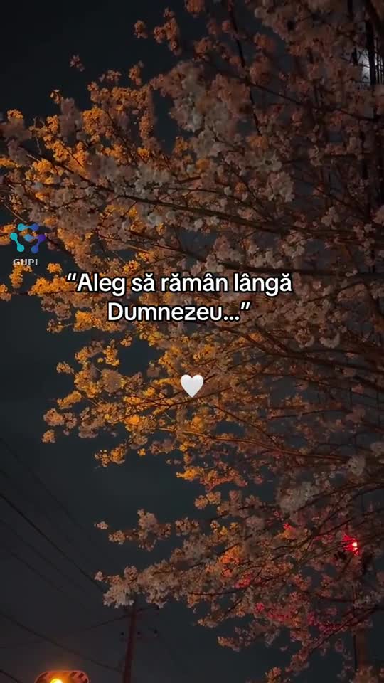 Video de @gupiuser323306