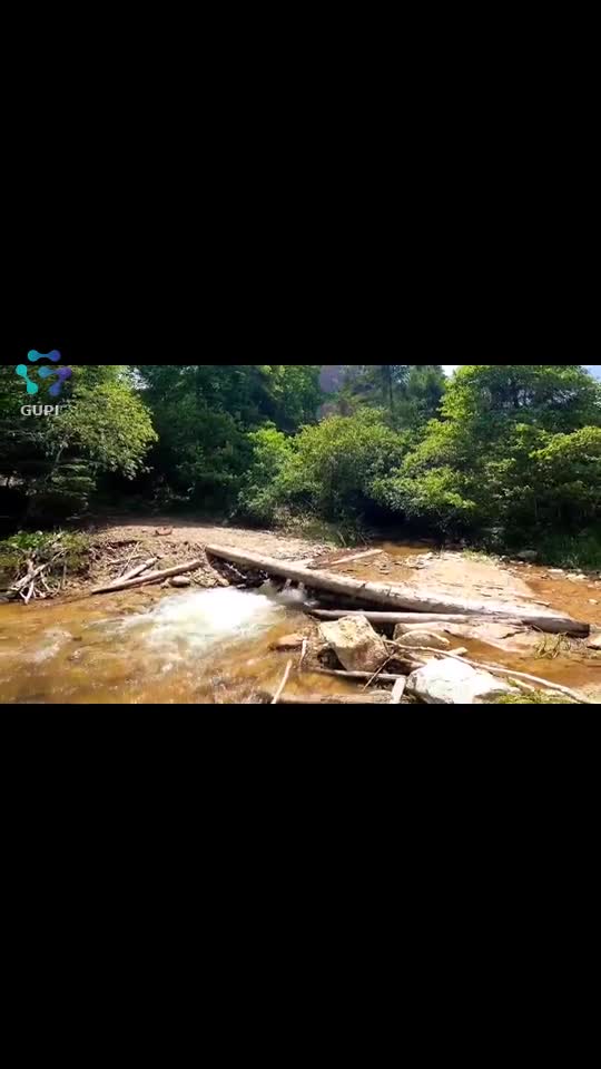 Video de @FLRica06