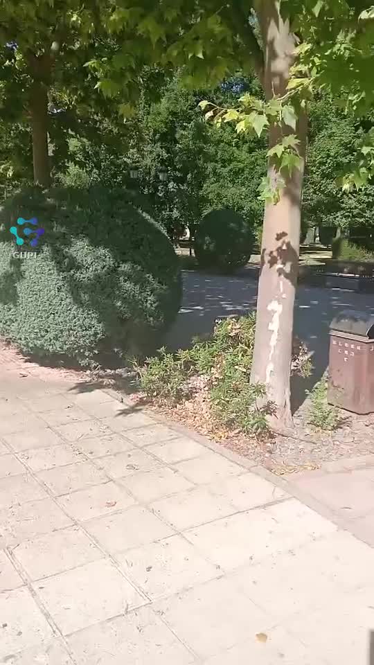 dragoste,liniște pace