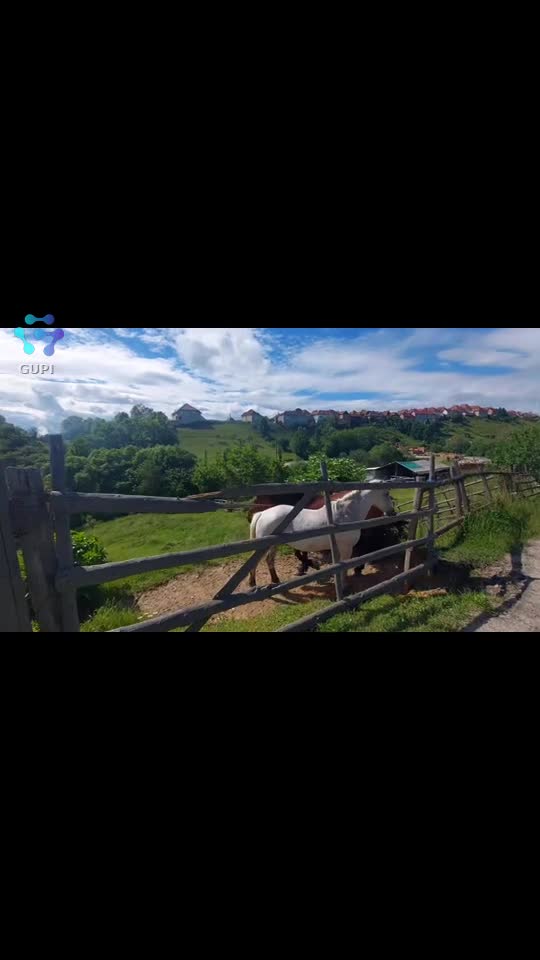 Video de @FLRica06