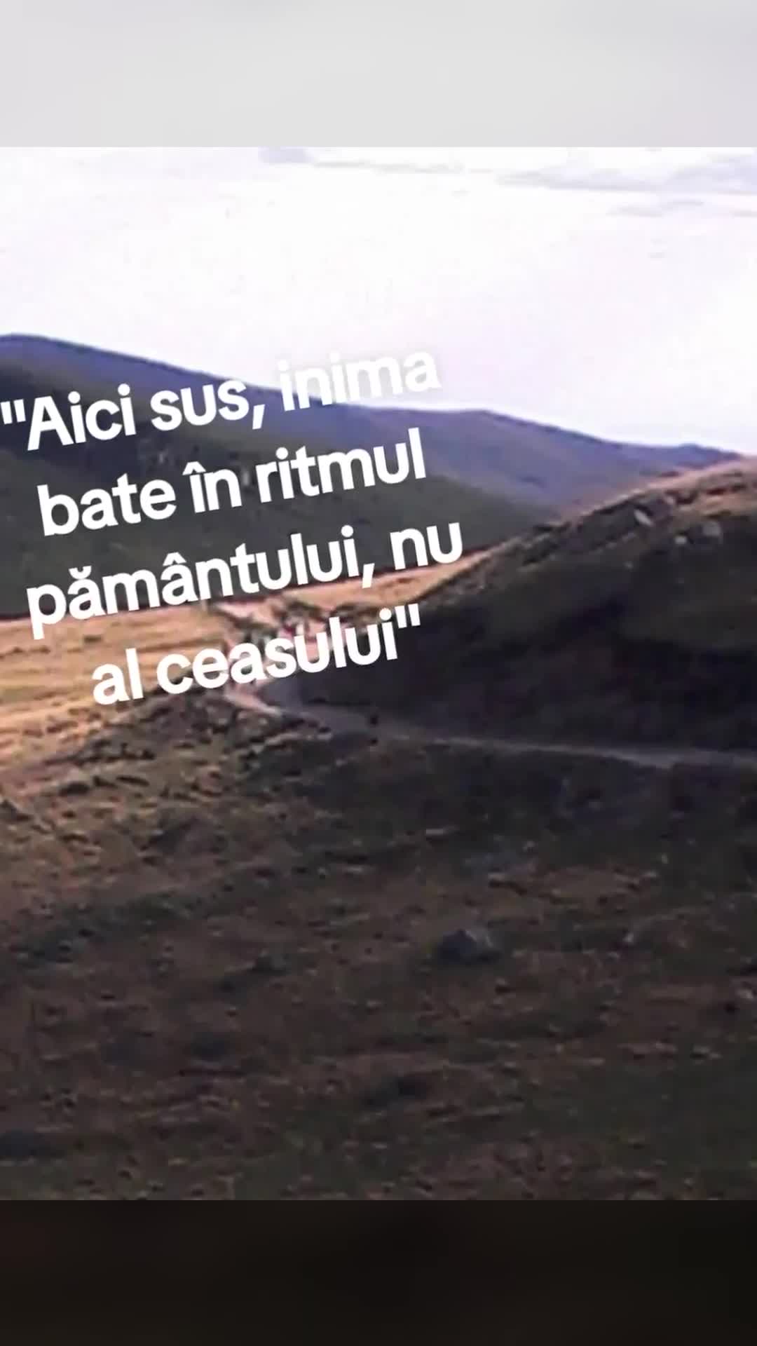 Video de @gupiuser938189