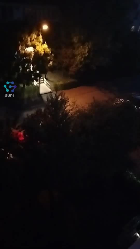 O seară frumoasă !