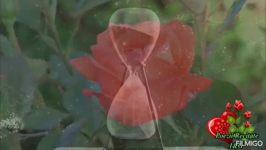 Video de @gupiuser869202