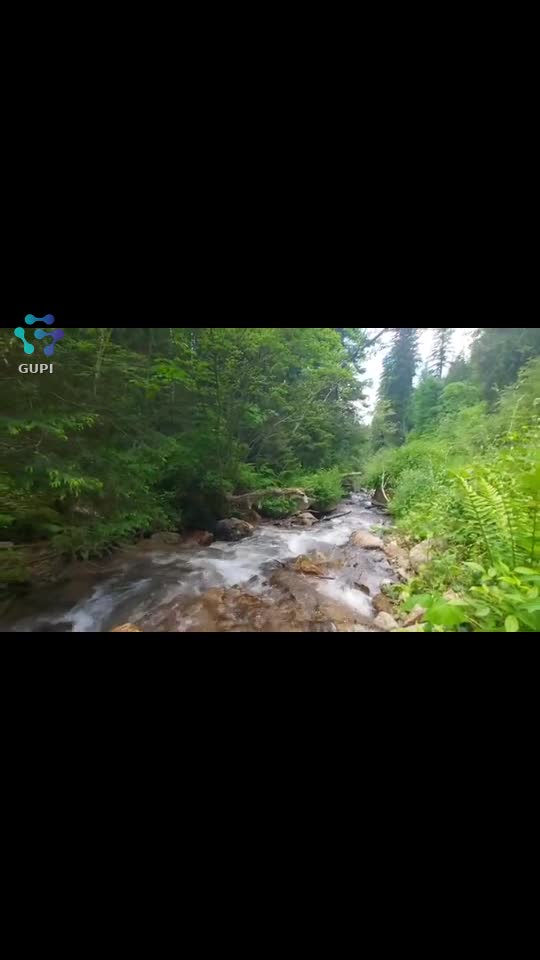 Video de @FLRica06