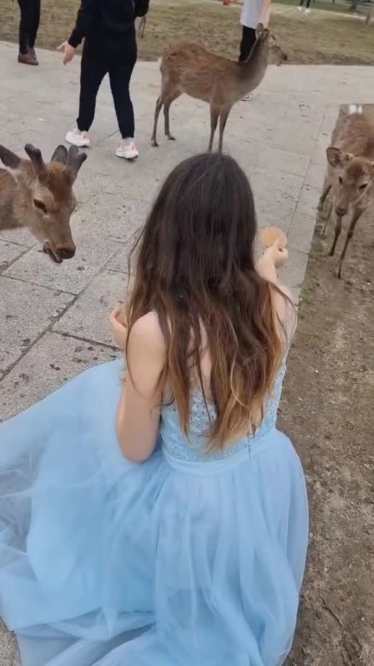 #live
