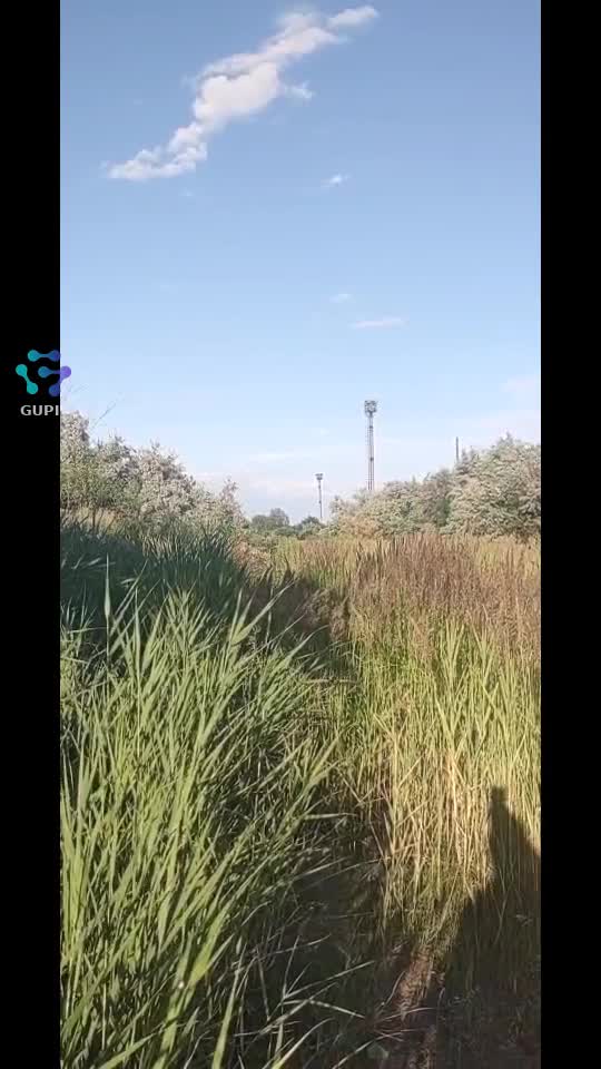 Video de @gupiuser74821
