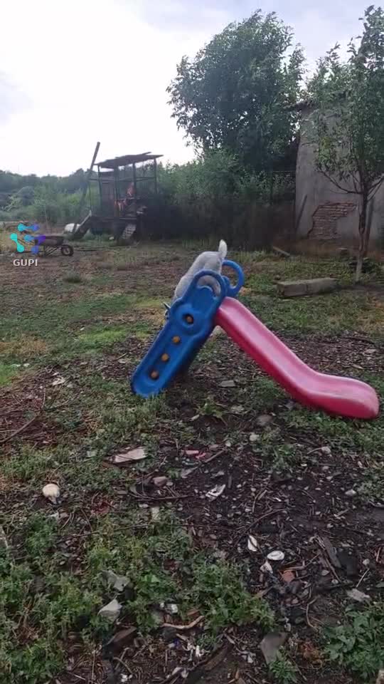 azi nu vrea sa se dea in topogan