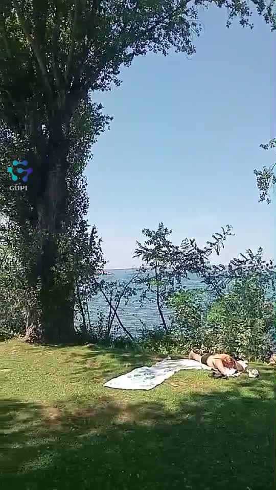Video de @gupiuser115591