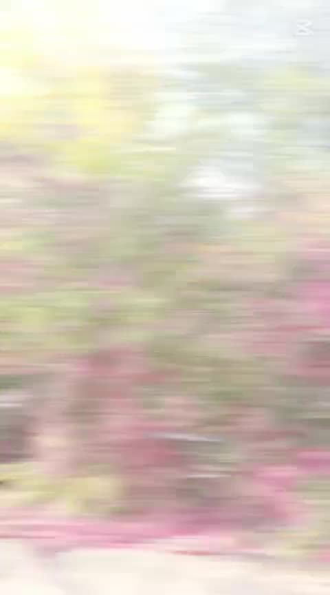 Video de @gupiuser684159