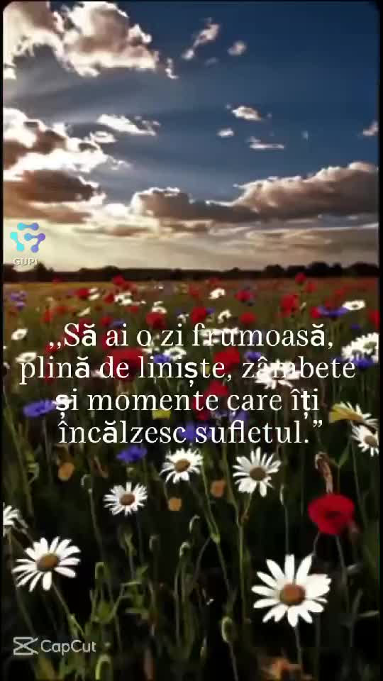 elenatifoi 💮