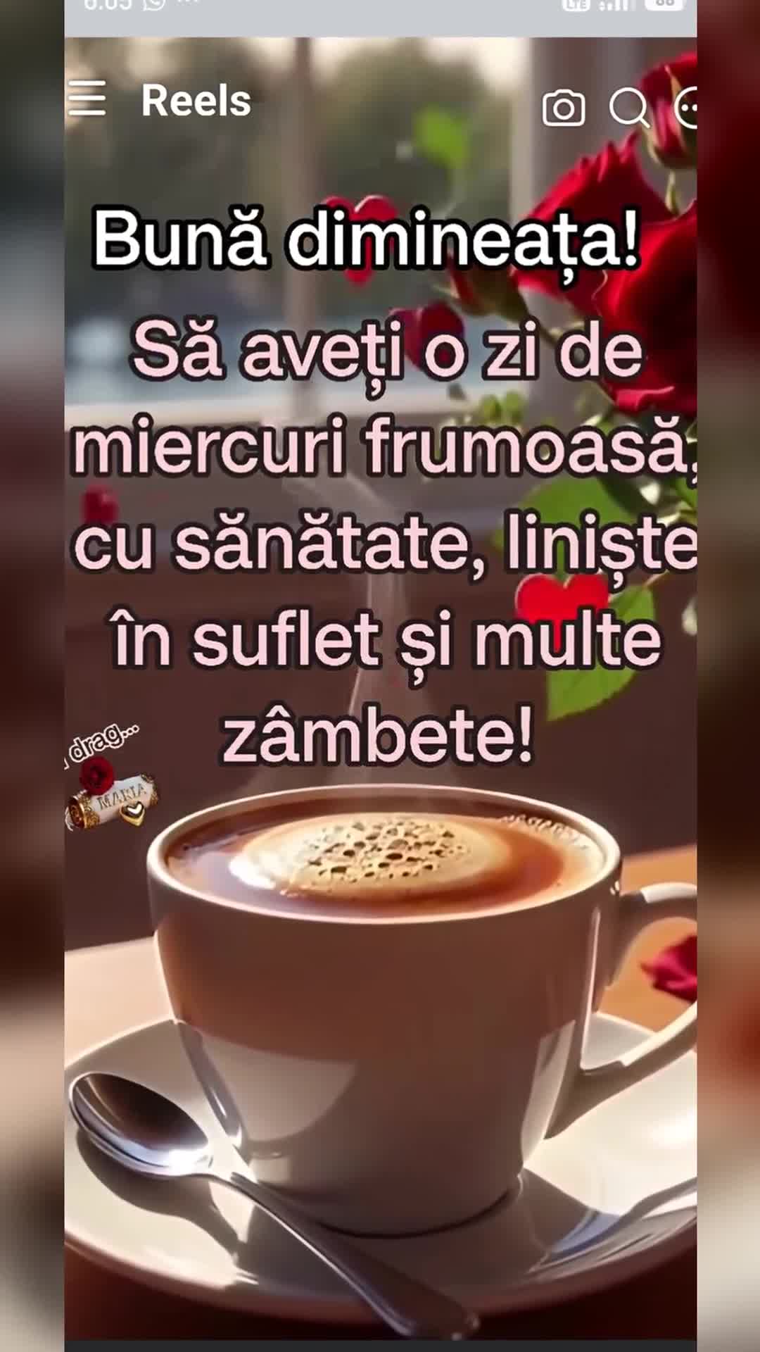 Video de @gupiuser953044