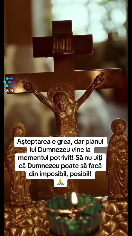 Video de @gupiuser145462