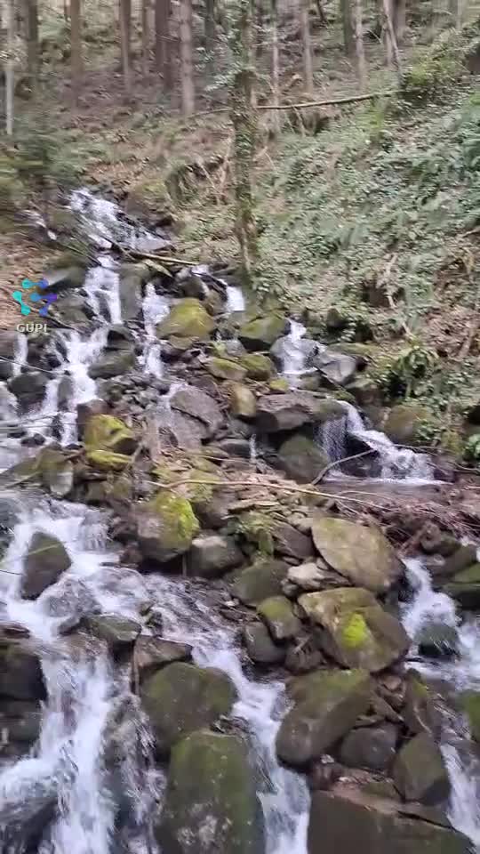 UN RIU DE MUNTE